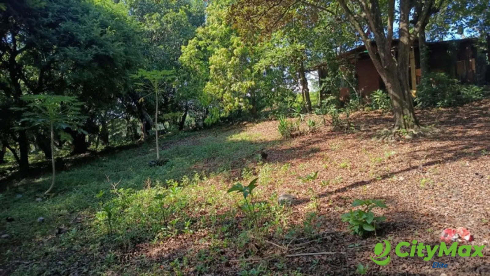VENTA DE TERRENO EN KM 73, CARRETERA A TAXISCO - foto 7