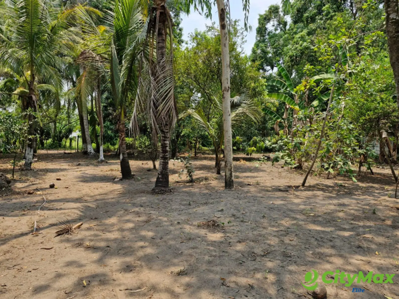 Terreno en Venta en Km 76.5 Antigua Carretera al Puerto - foto 13