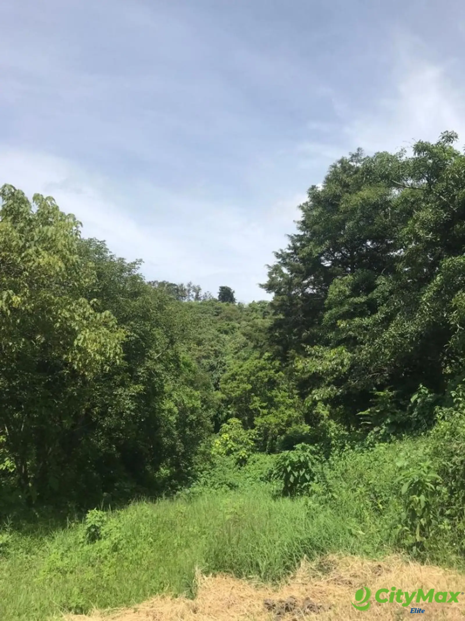 Terreno en Venta en Carretera a Santa Elena Barillas - foto 6