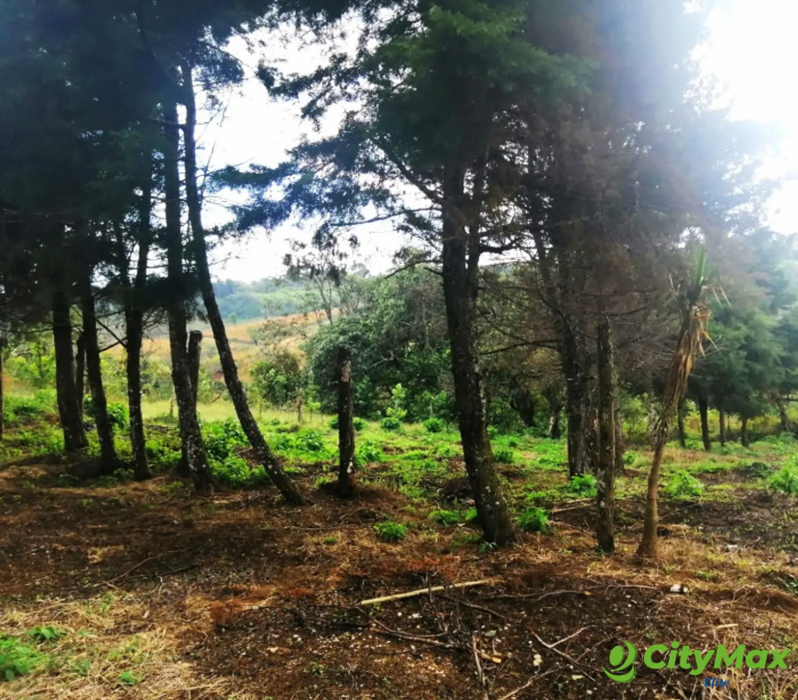 TERRENO RESIDENCIAL EN VENTA EN VILLA CANALES - foto 3