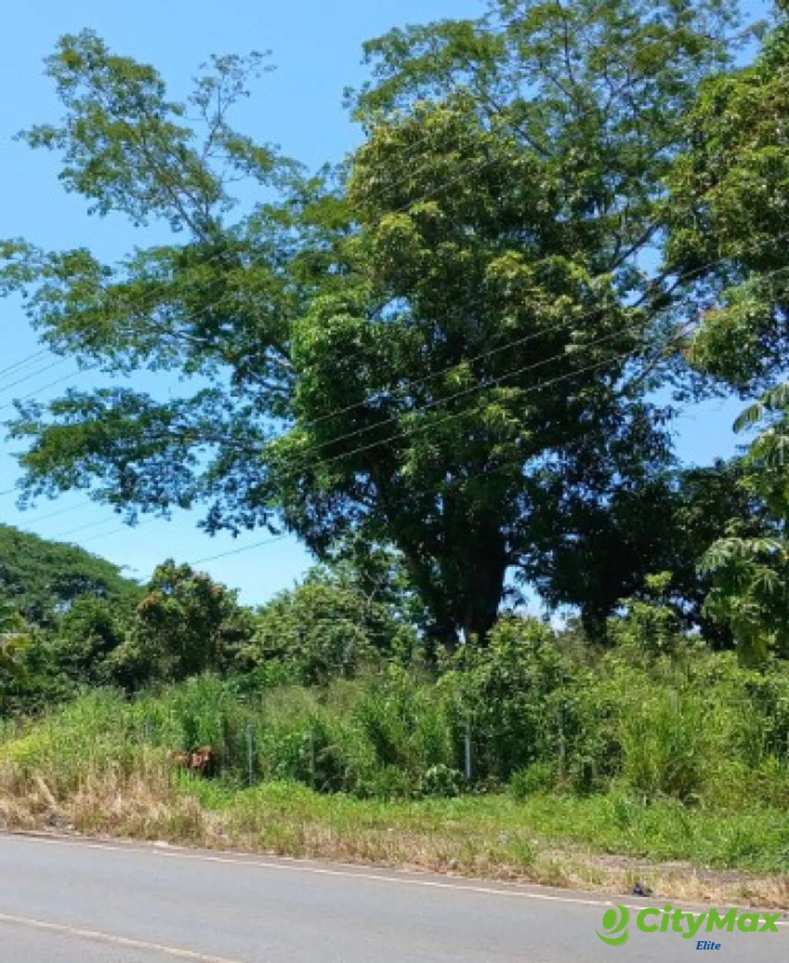 Terreno en renta en Guazacapán, Santa Rosa - foto 5