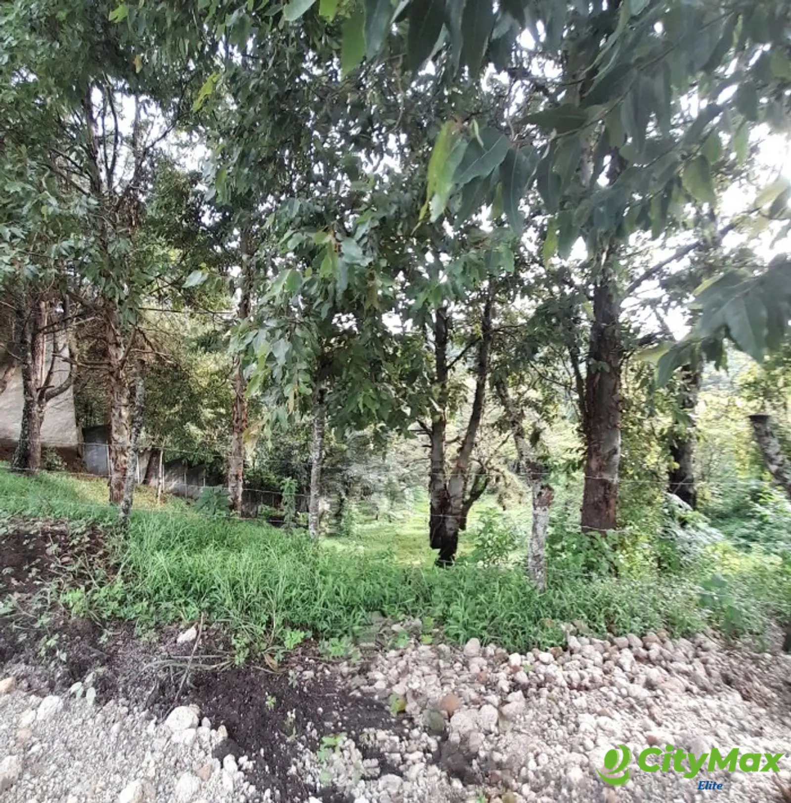 Lote en venta, Sausalito Fraijanes Km. 19.8 - foto 5