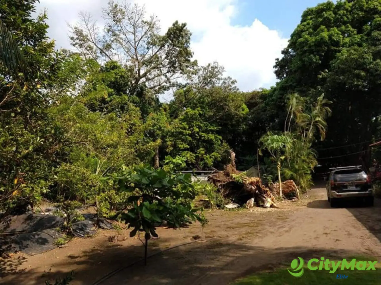 Terreno en Venta en Km 76.5 Antigua Carretera al Puerto - foto 4