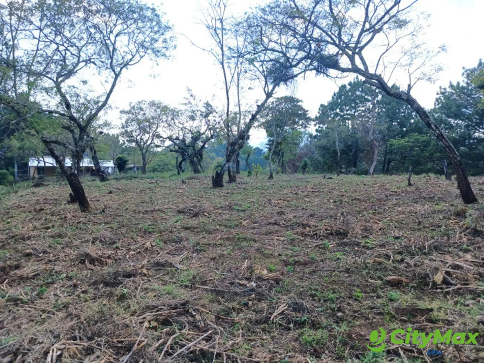 TERRENO EN VENTA EN FRAIJANES - foto 6