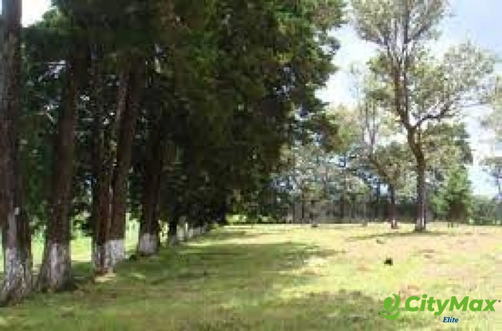 TERRENO RESIDENCIAL EN VENTA EN VILLA CANALES - foto 13