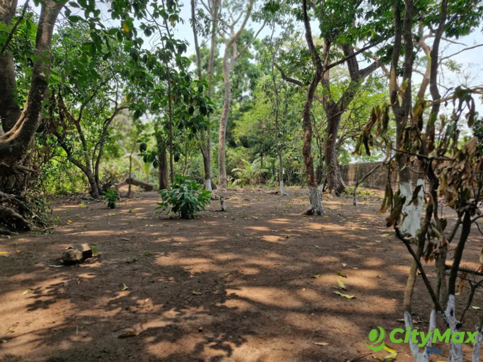 Terreno en Venta en Km 76.5 Antigua Carretera al Puerto - foto 15