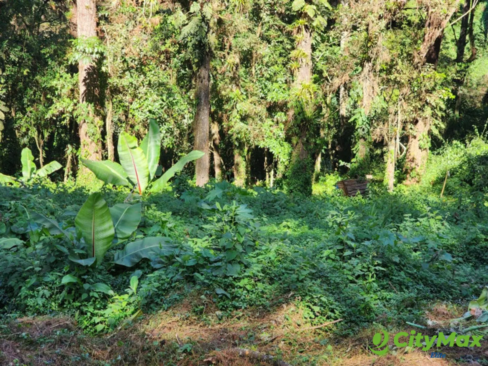 Terreno en Venta- Santa Catarina Pinula - foto 5