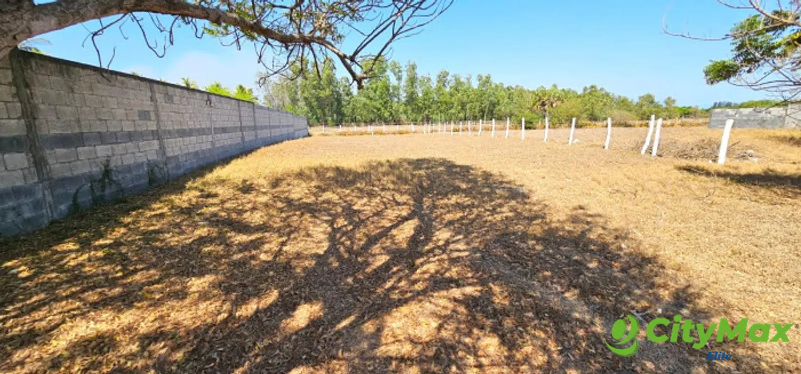 TERRENO EN VENTA EN IZTAPA A 20 METROS DEL MAR - foto 5