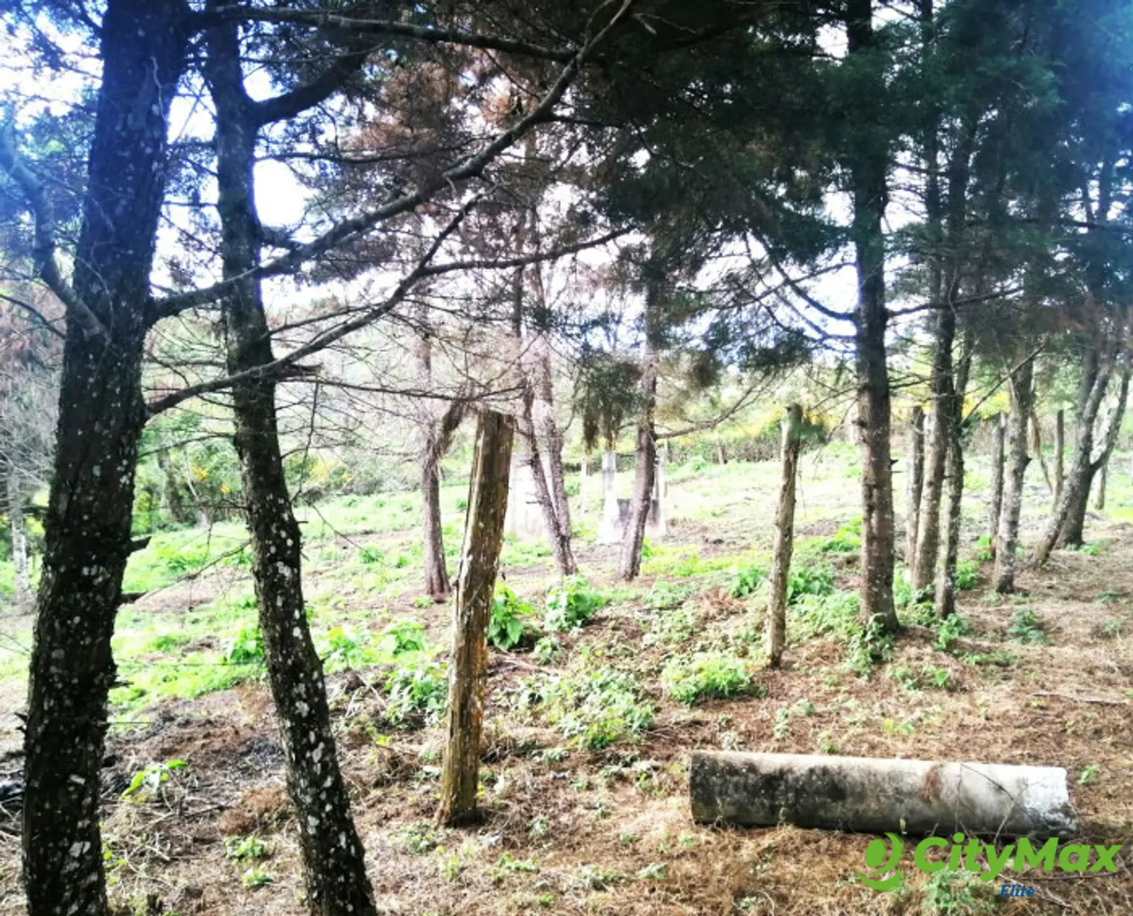 TERRENO RESIDENCIAL EN VENTA EN VILLA CANALES - foto 12