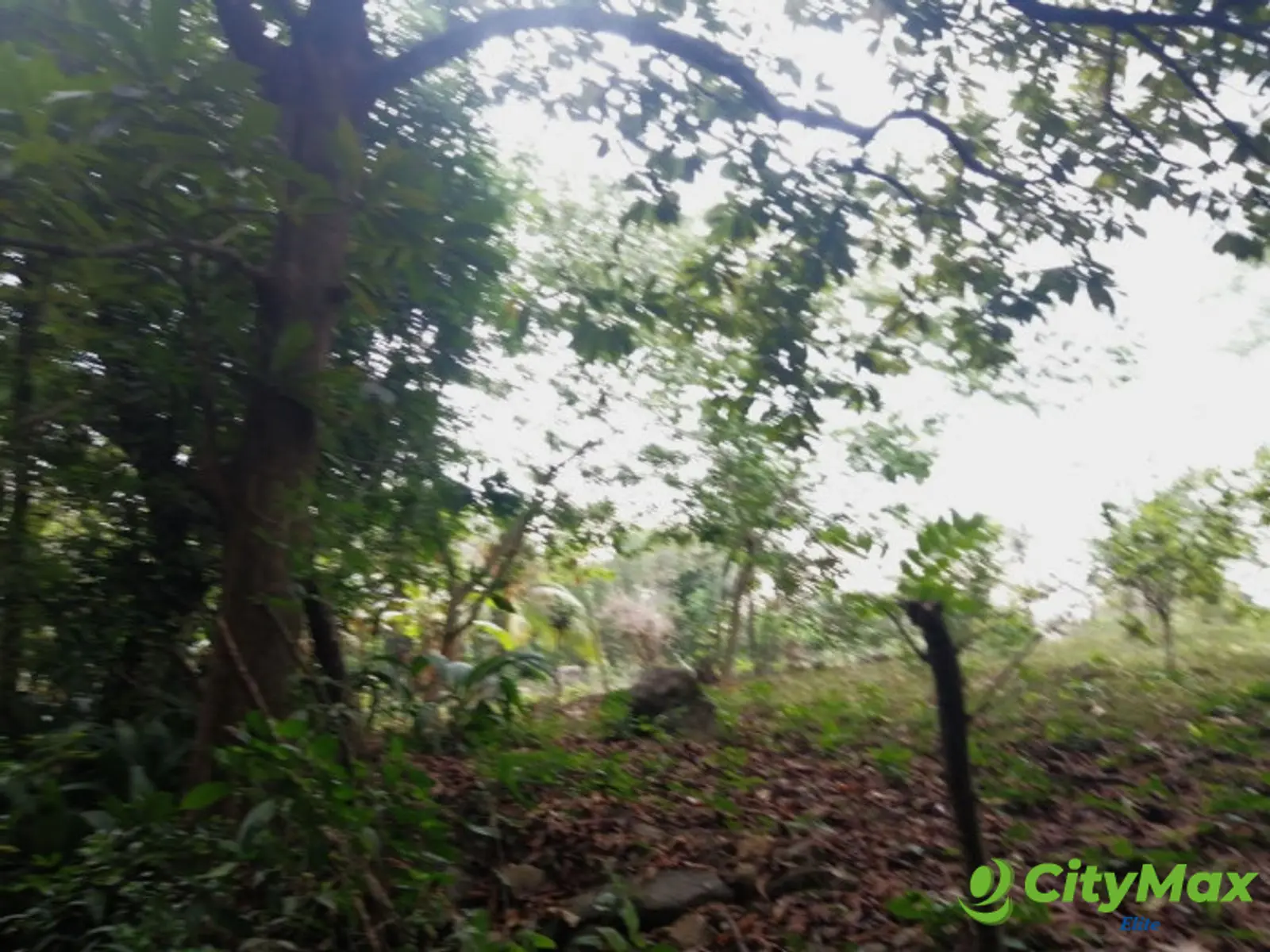 Terreno en Venta en Quintas Vallarta Escuintla - foto 19