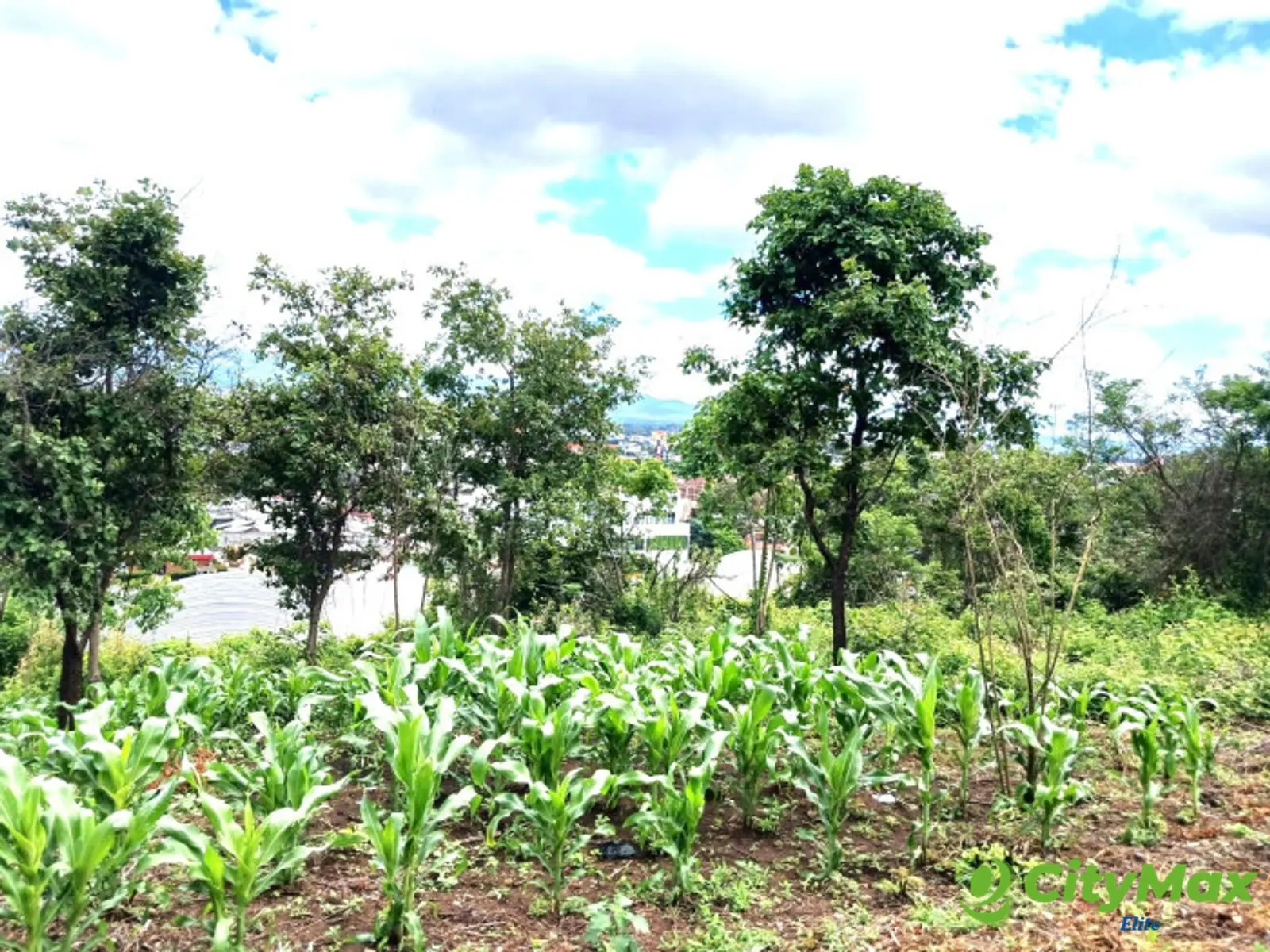 Terreno en Venta cerca de Calzada La Paz, en Zona 17 - foto 3