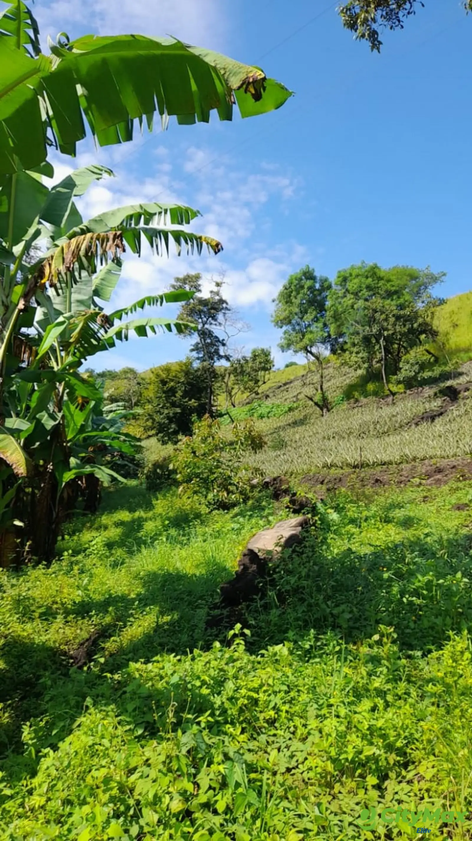 Vendo Terreno en Autopista a El Salvador - foto 13
