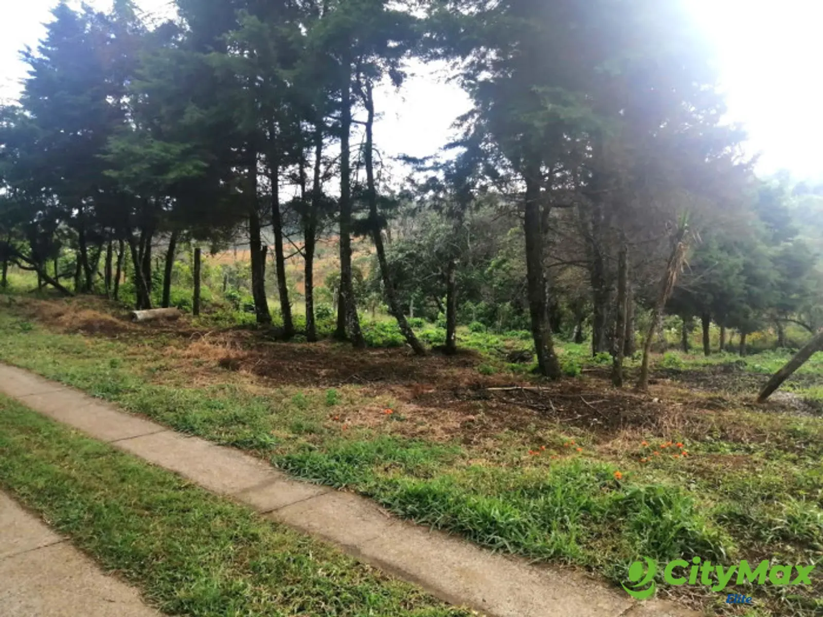 TERRENO RESIDENCIAL EN VENTA EN VILLA CANALES - foto 2
