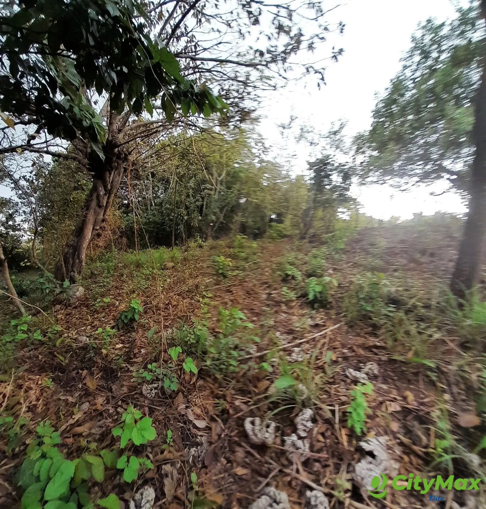 Terreno en Venta en Quintas Vallarta Escuintla - foto 9