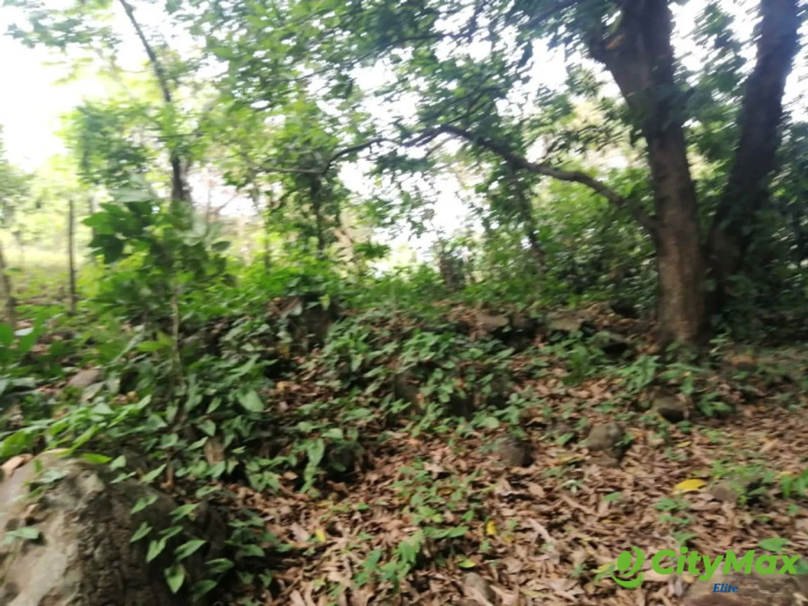 Terreno en Venta en Quintas Vallarta Escuintla - foto 8