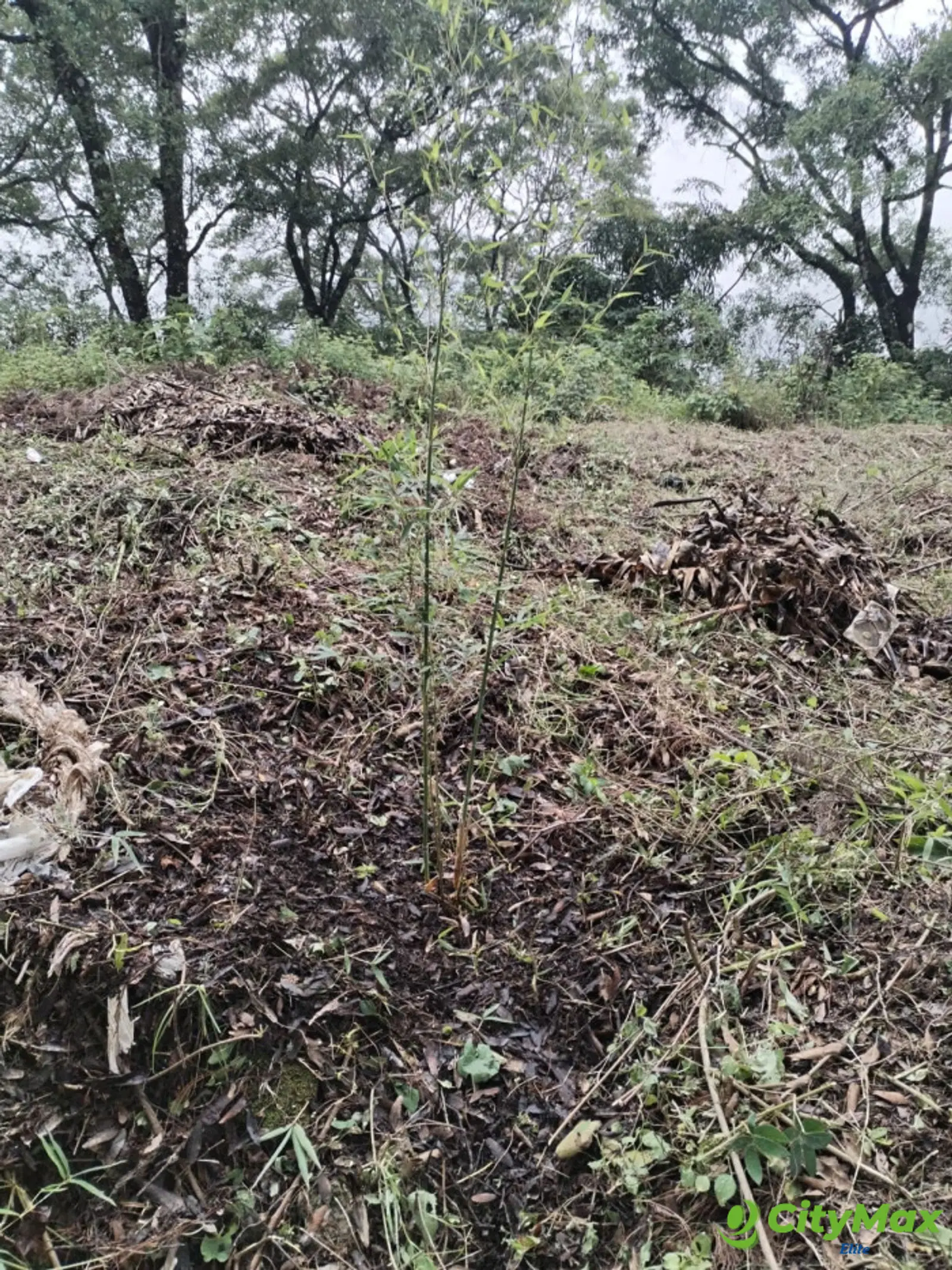 TERRENO EN VENTA EN GRANJA BUENOS AIRES - foto 5