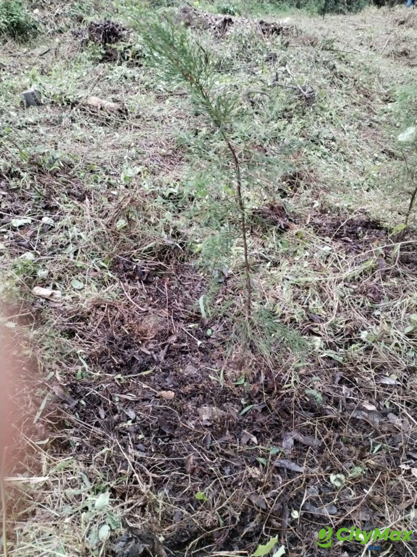 TERRENO EN VENTA EN GRANJA BUENOS AIRES - foto 6