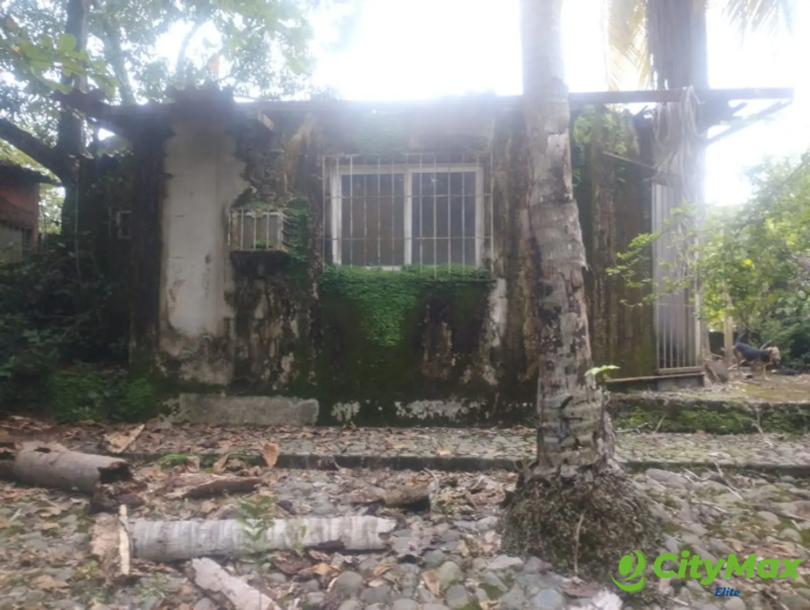 VENTA DE TERRENO EN KM 73, CARRETERA A TAXISCO - foto 10