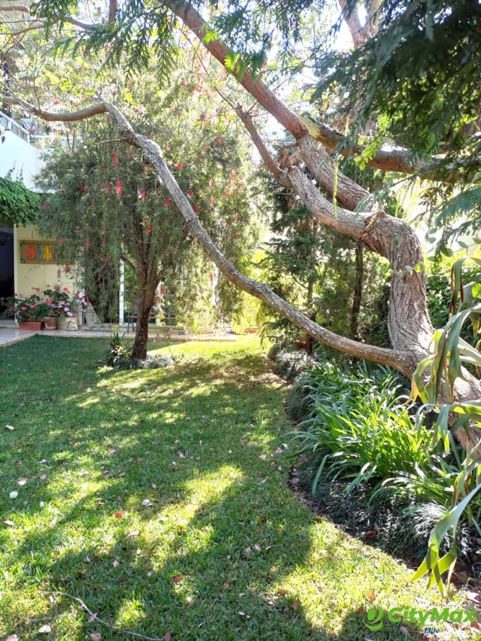 Apartamento en Venta y Alquiler - Portal del Bosque III - foto 17