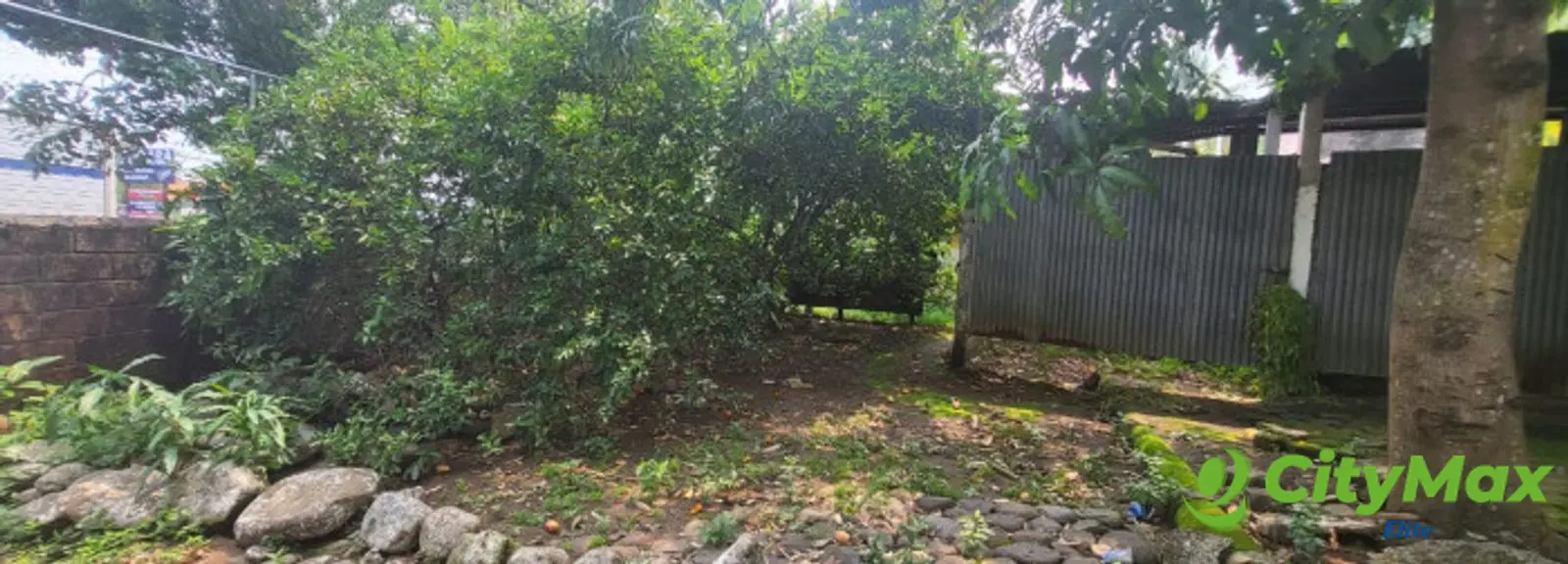 Renta de Terreno Comercial - foto 6