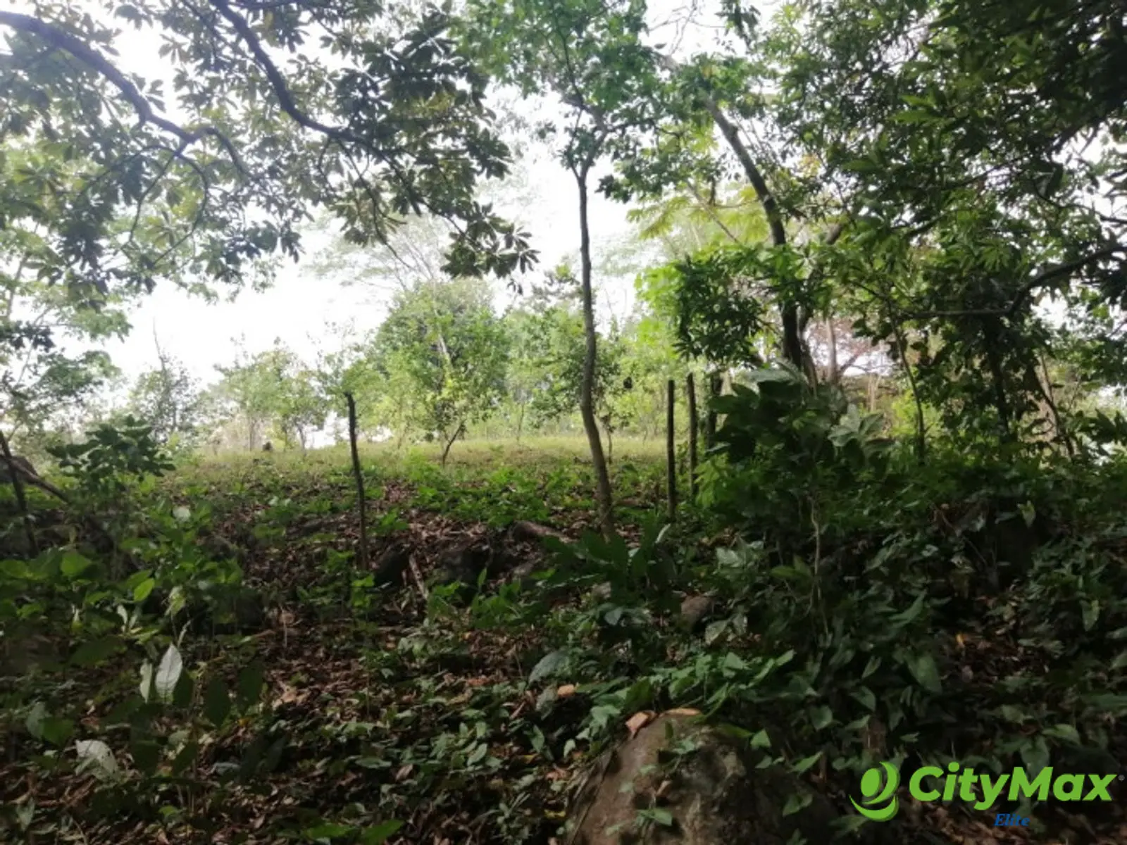 Terreno en Venta en Quintas Vallarta Escuintla - foto 10