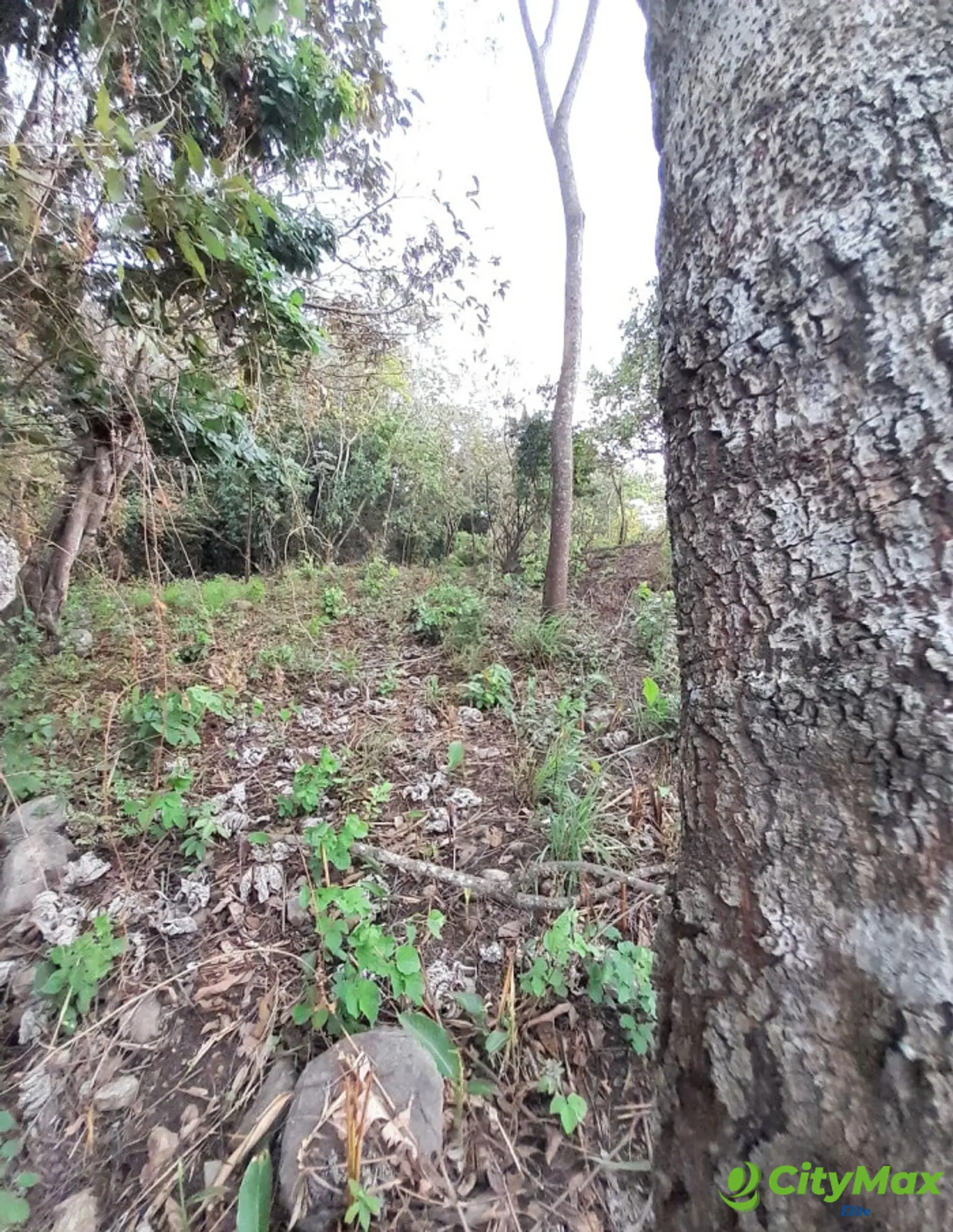 Terreno en Venta en Quintas Vallarta Escuintla - foto 7