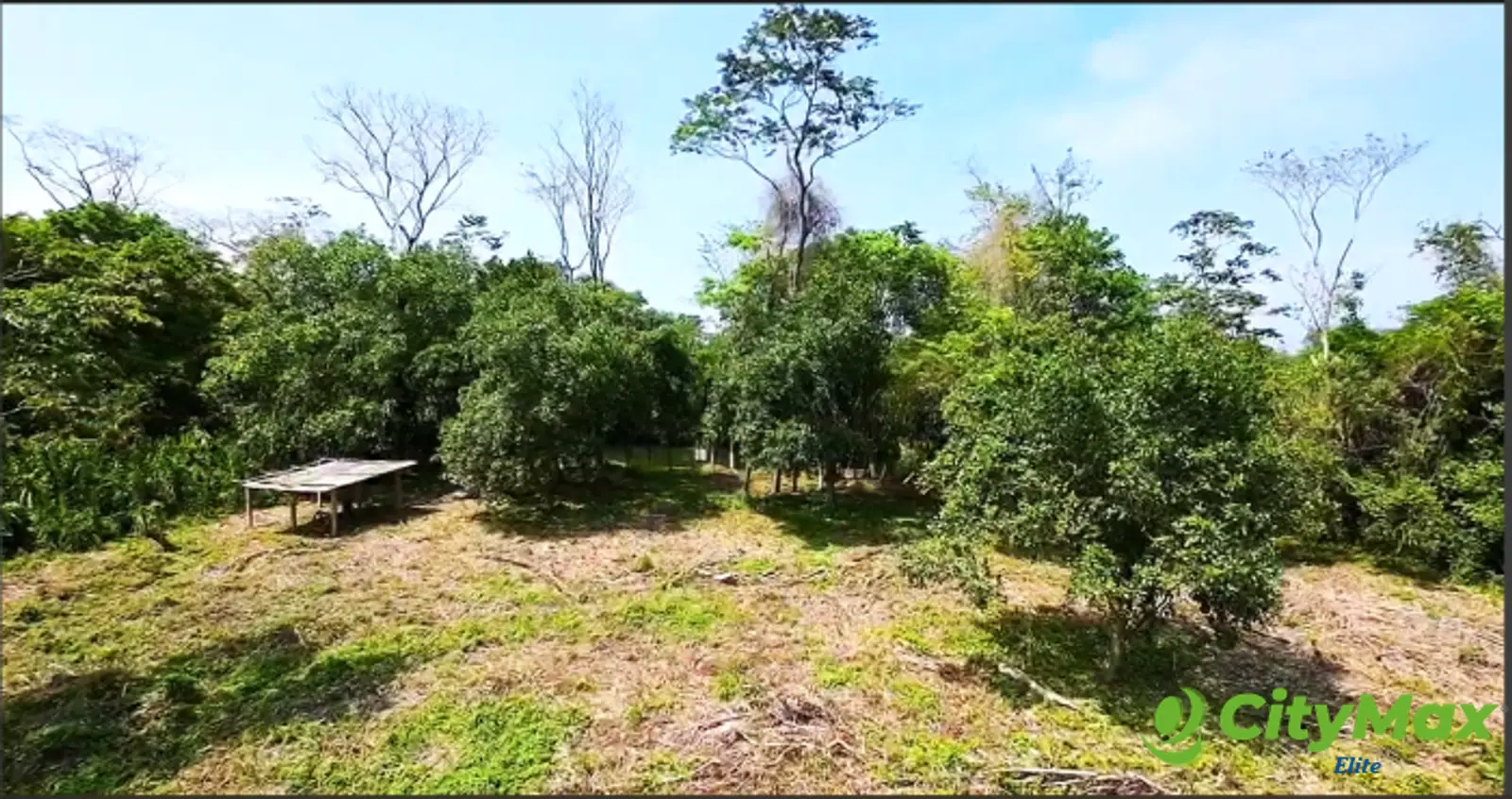 TERRENO EN VENTA EN RIO DULCE - foto 4