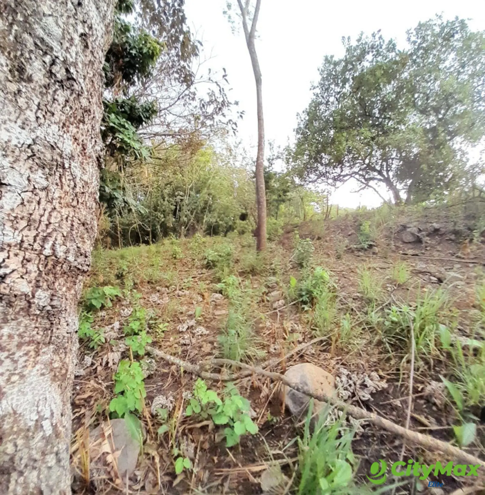 Terreno en Venta en Quintas Vallarta Escuintla - foto 3