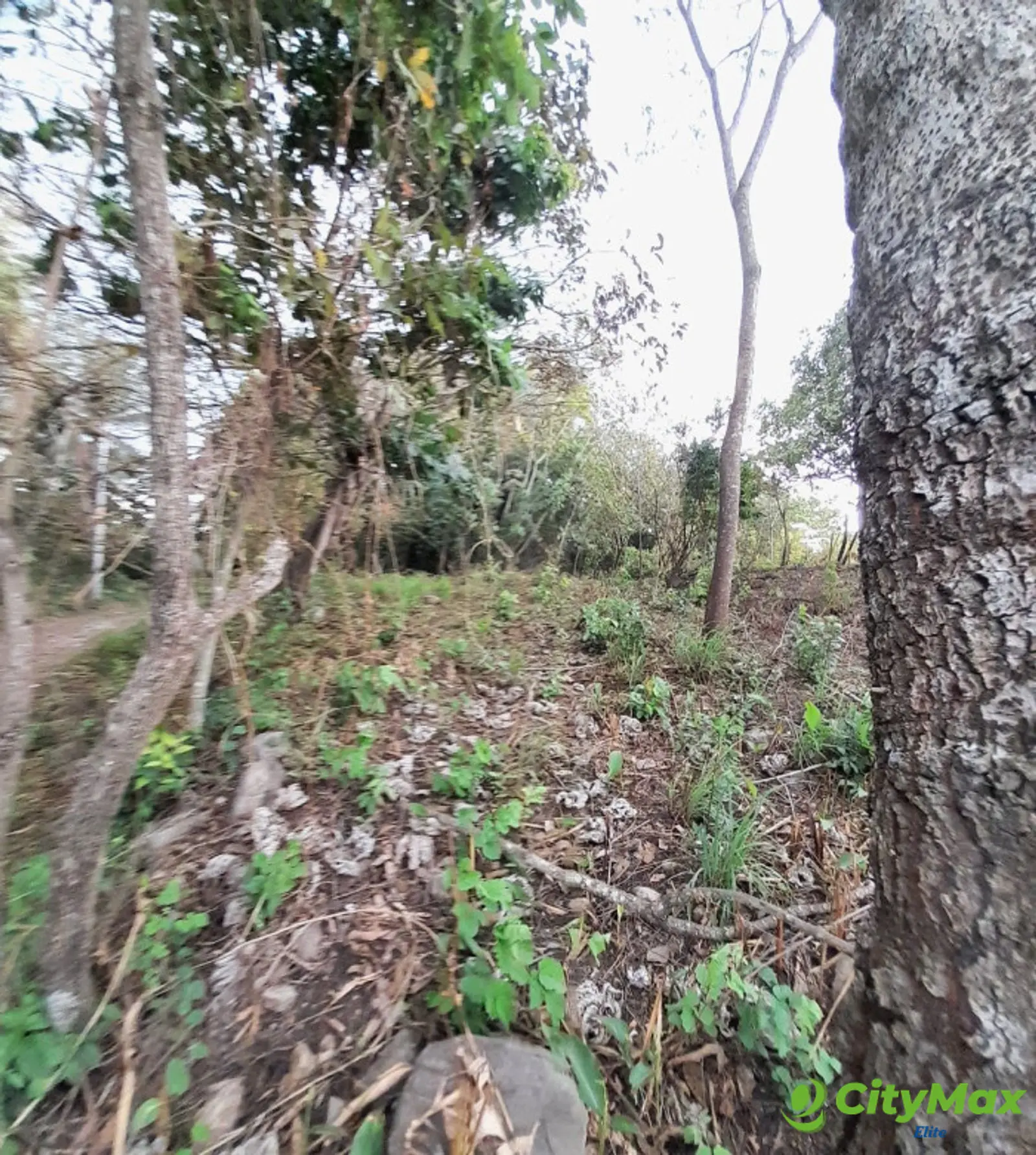 Terreno en Venta en Quintas Vallarta Escuintla - foto 5