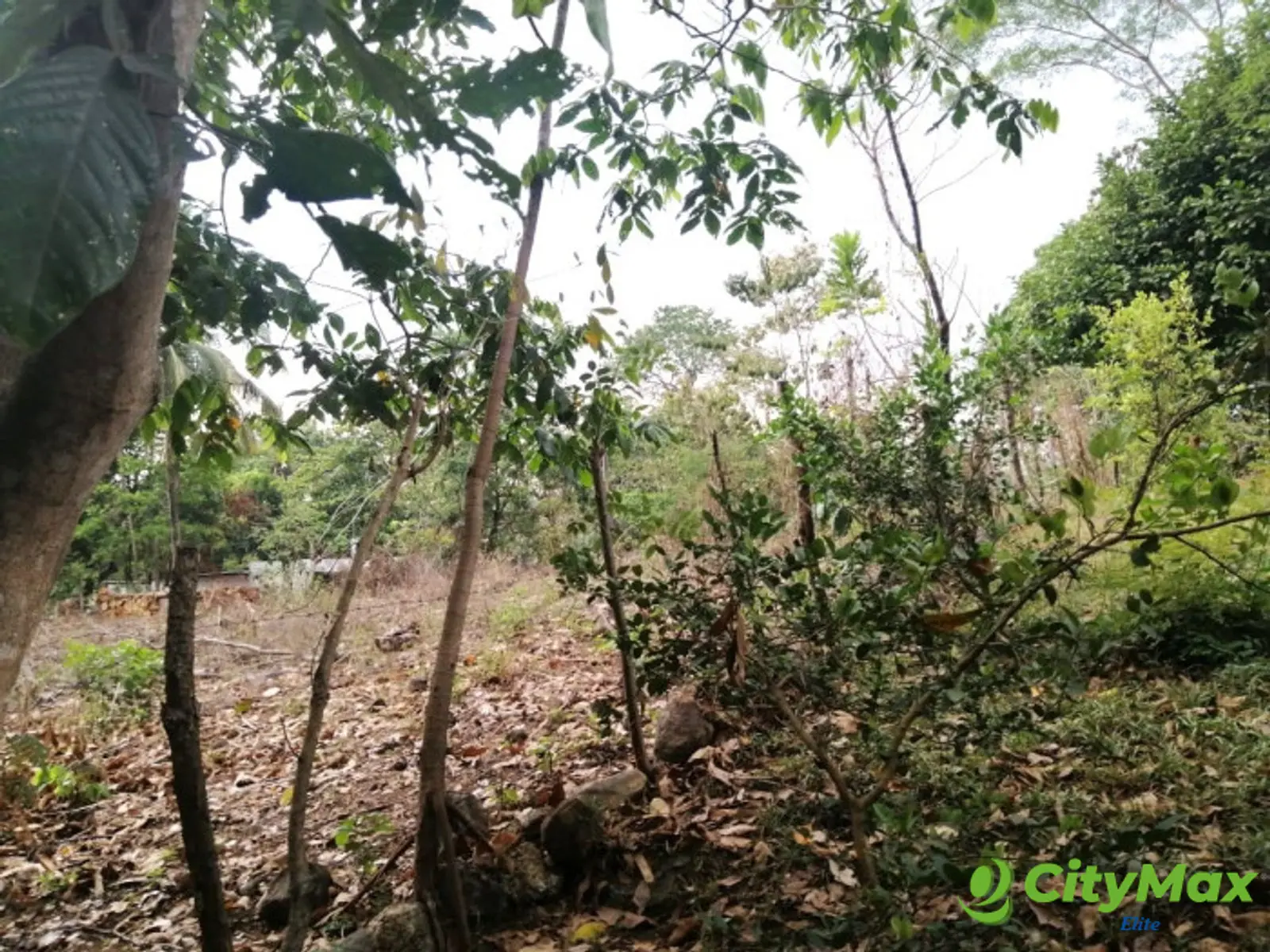 Terreno en Venta en Quintas Vallarta Escuintla - foto 12