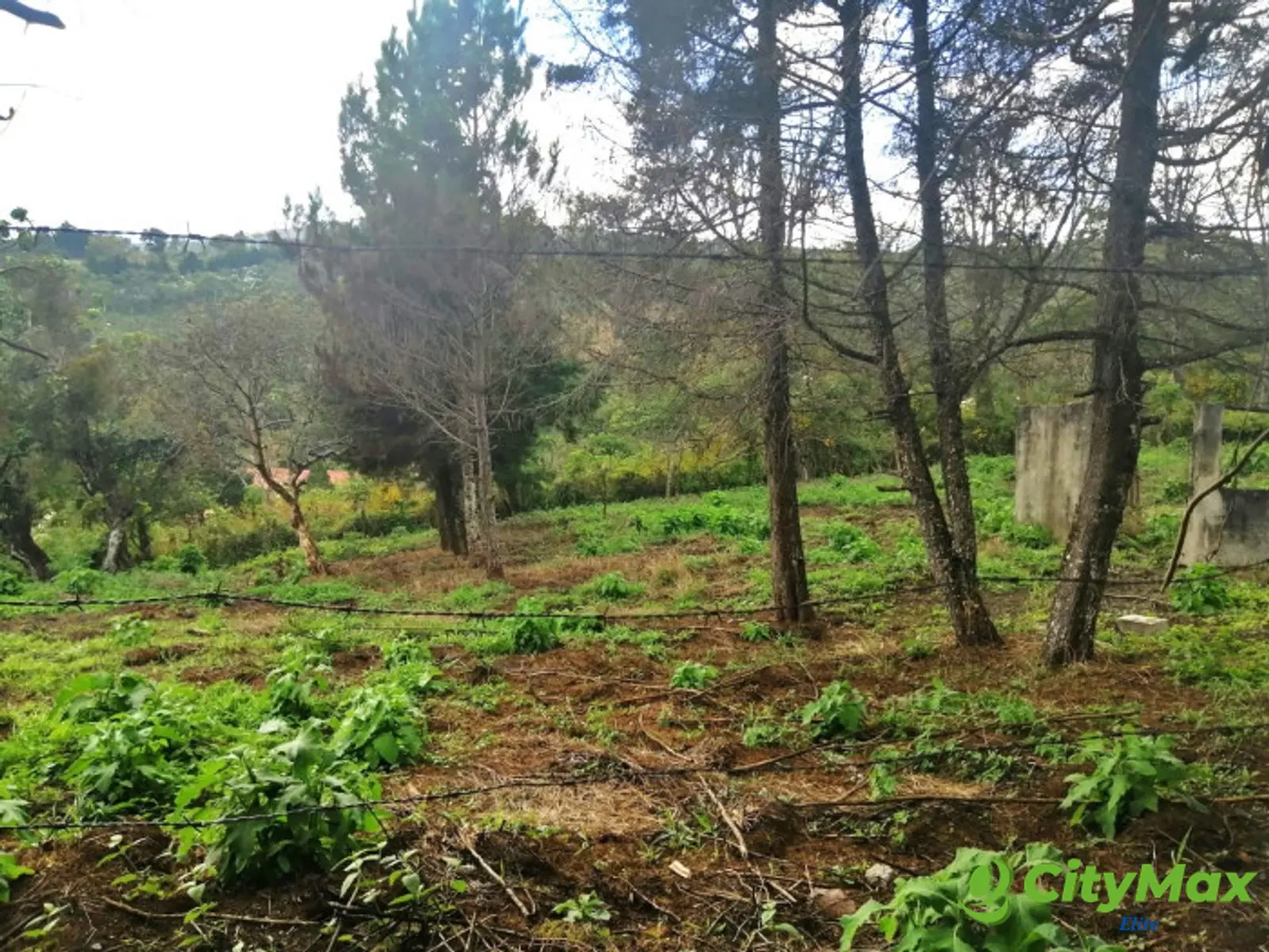 TERRENO RESIDENCIAL EN VENTA EN VILLA CANALES - foto 9