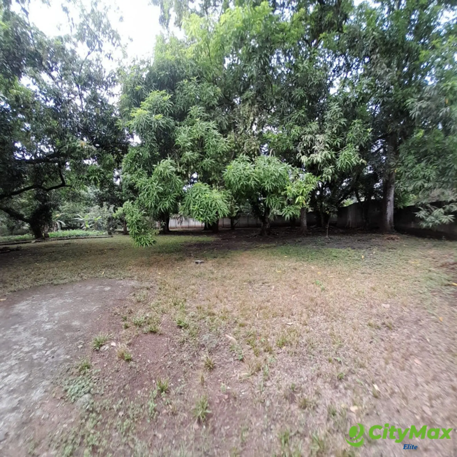 Terreno en Venta en Escuintla - foto 16