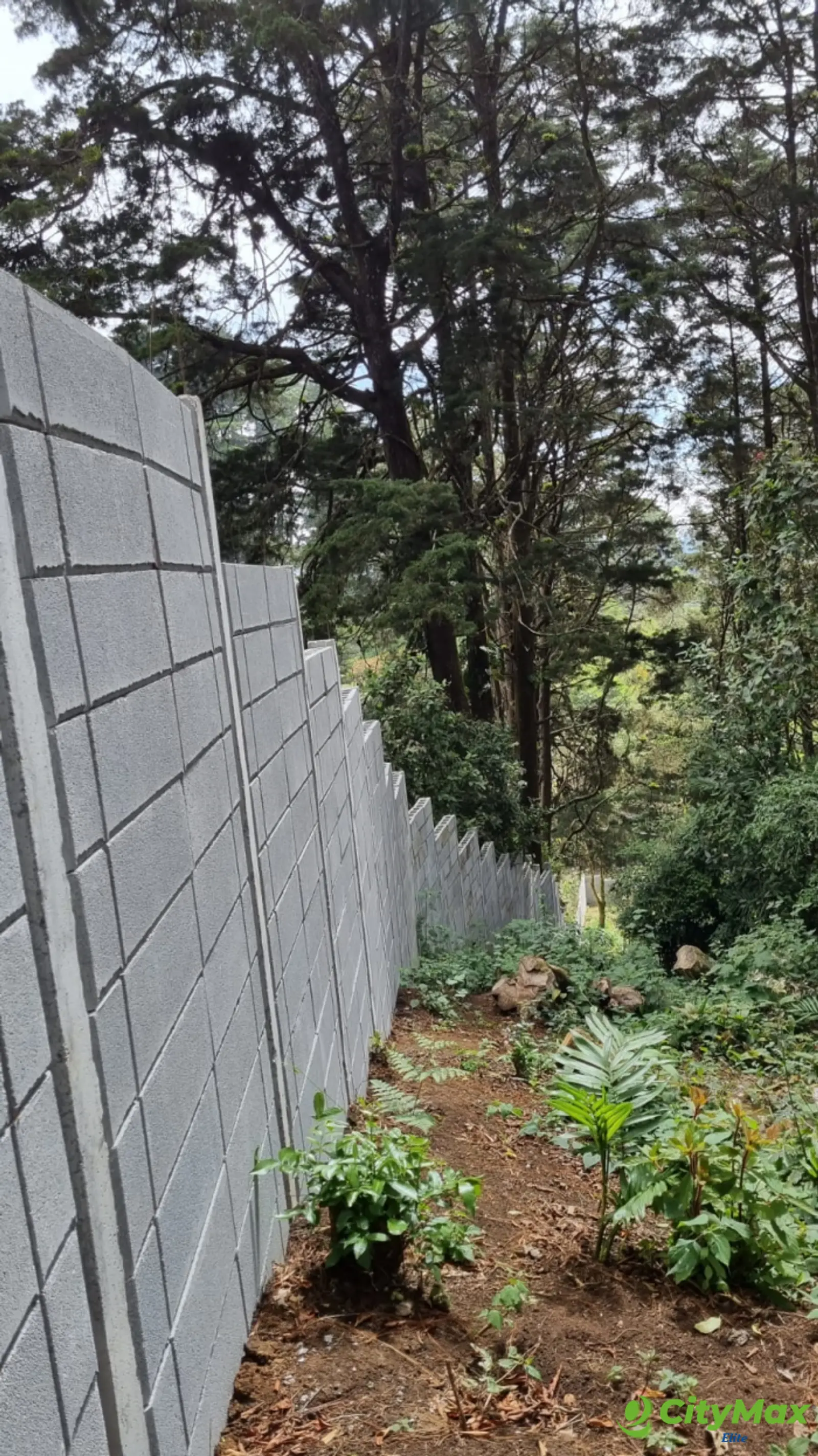 Terreno en renta en Piedra Parada Santa Catarina Pinula - foto 5