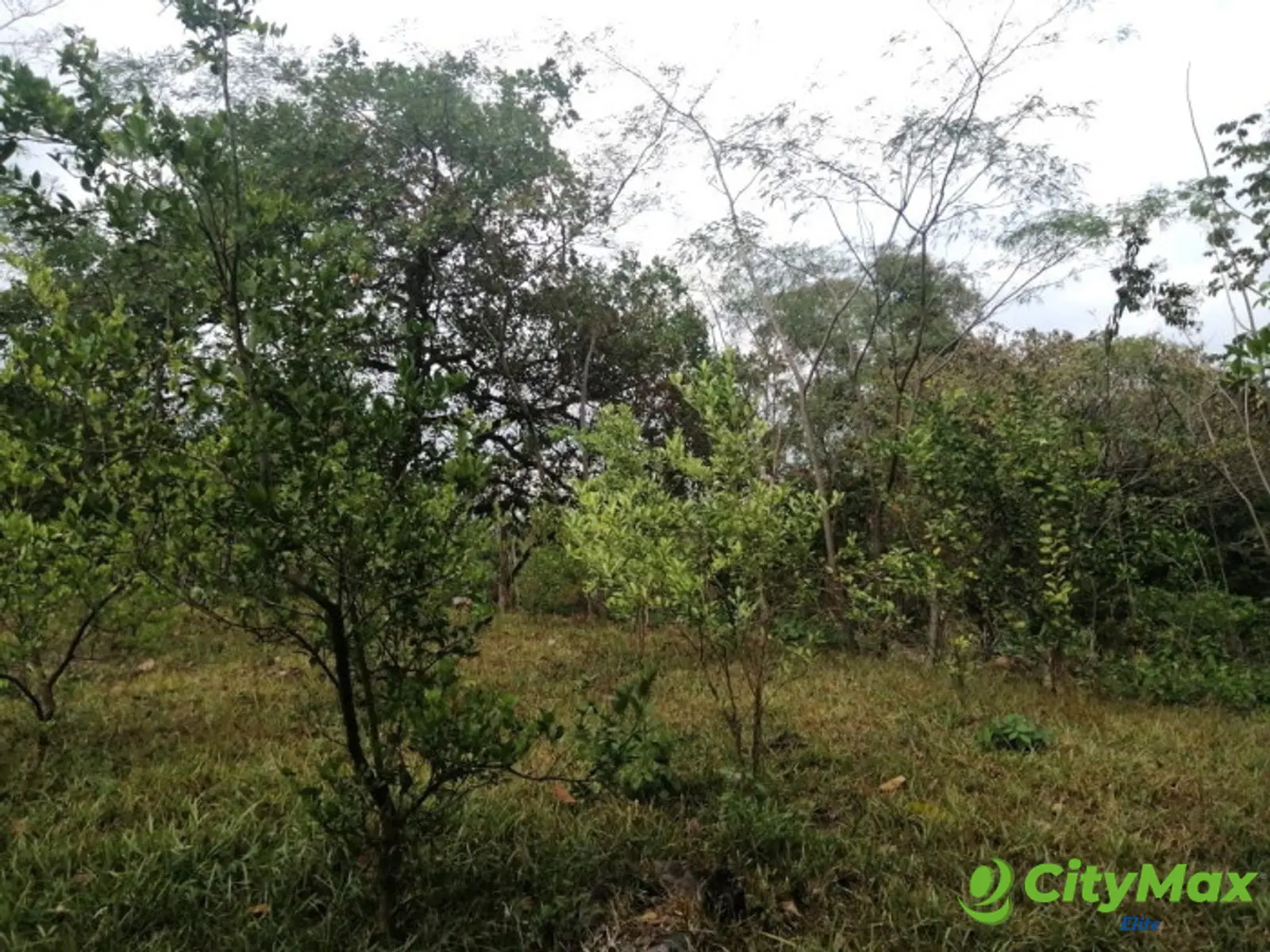 Terreno en Venta en Quintas Vallarta Escuintla - foto 15