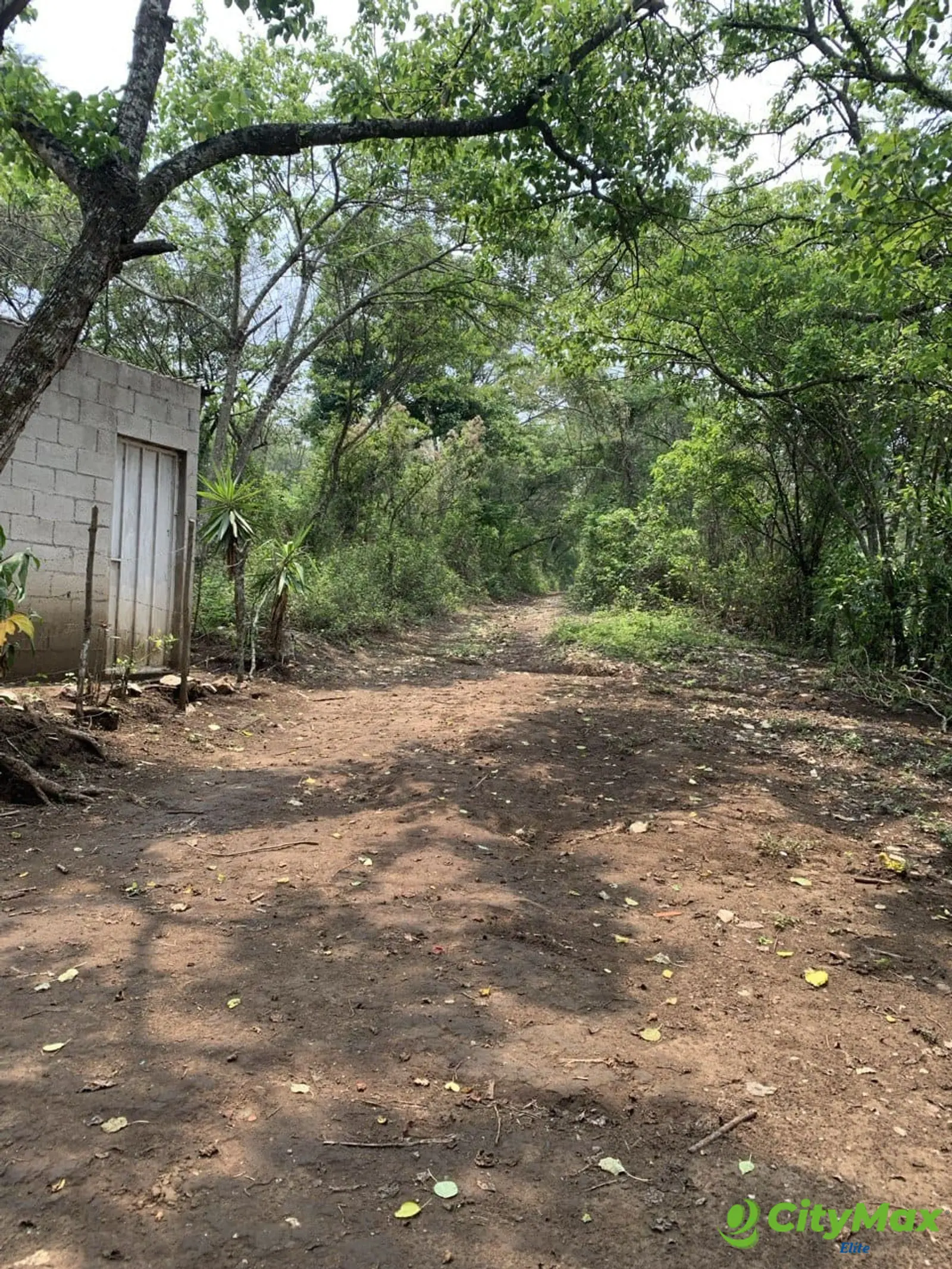 Terreno en Renta carretera a Santa Elena Barillas - foto 2