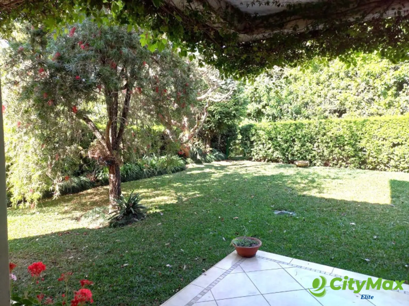 Apartamento en Venta y Alquiler - Portal del Bosque III - foto 15