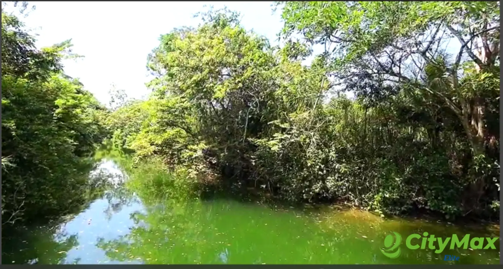 TERRENO EN VENTA EN RIO DULCE - foto 6
