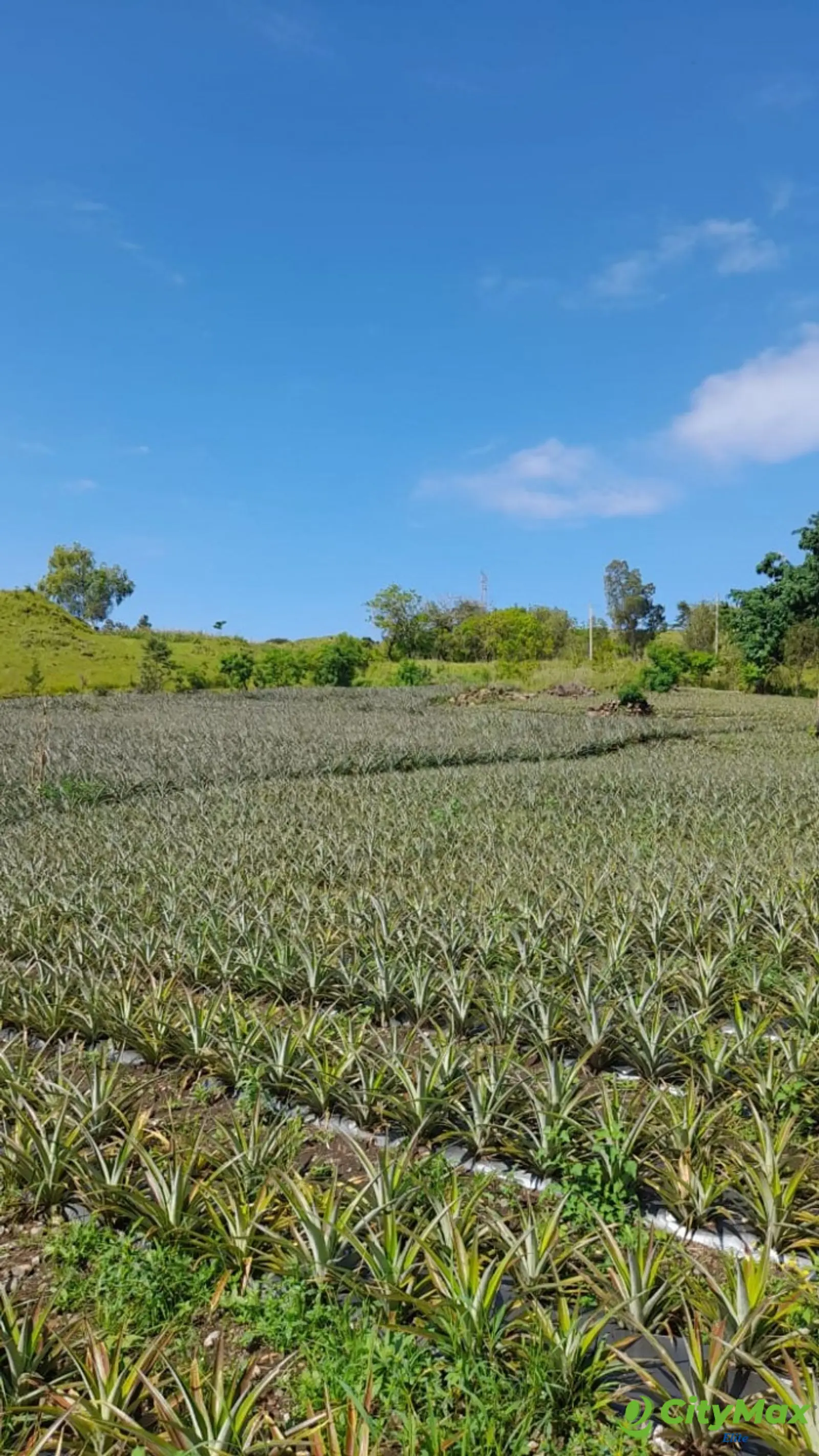 Vendo Terreno en Autopista a El Salvador - foto 7