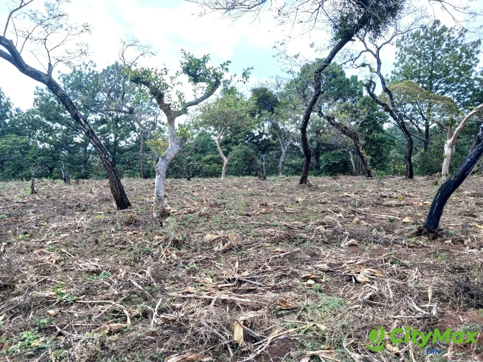 TERRENO EN VENTA EN FRAIJANES - foto 4