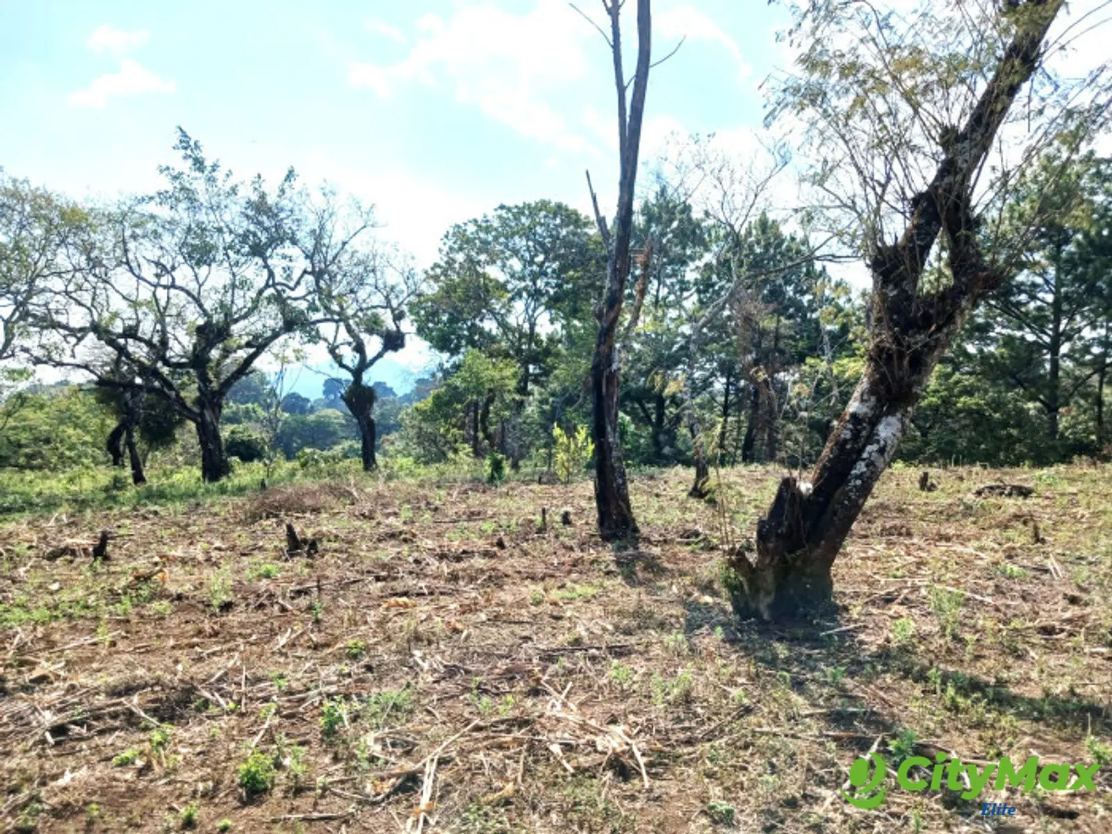 TERRENO EN VENTA EN FRAIJANES - foto 12