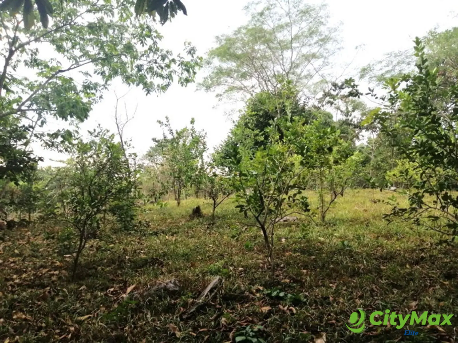 Terreno en Venta en Quintas Vallarta Escuintla - foto 4