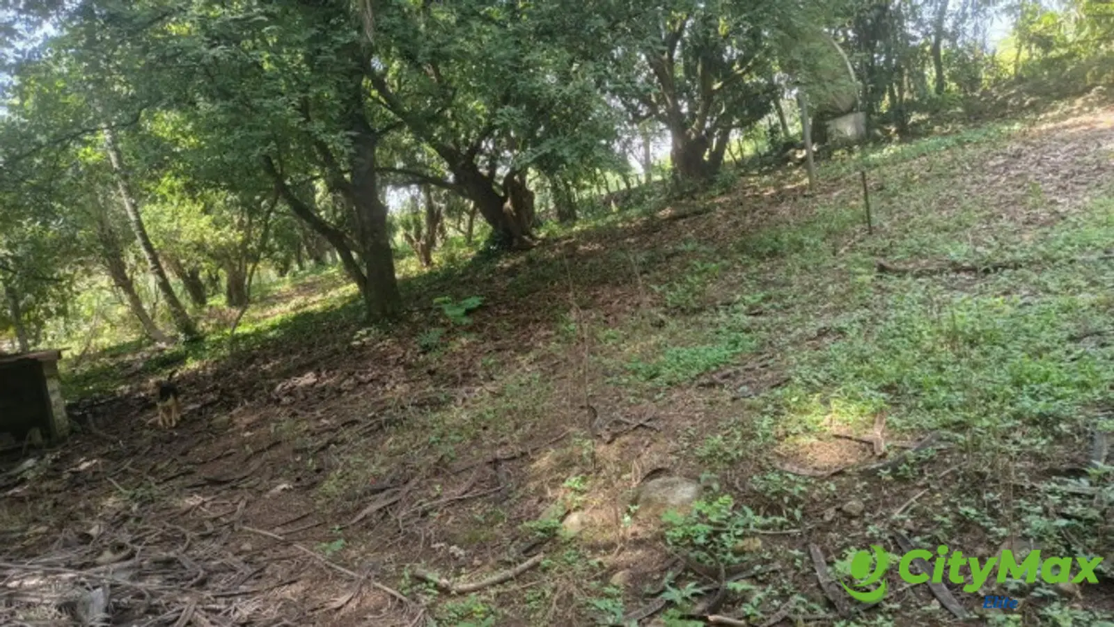 VENTA DE TERRENO EN KM 73, CARRETERA A TAXISCO - foto 3