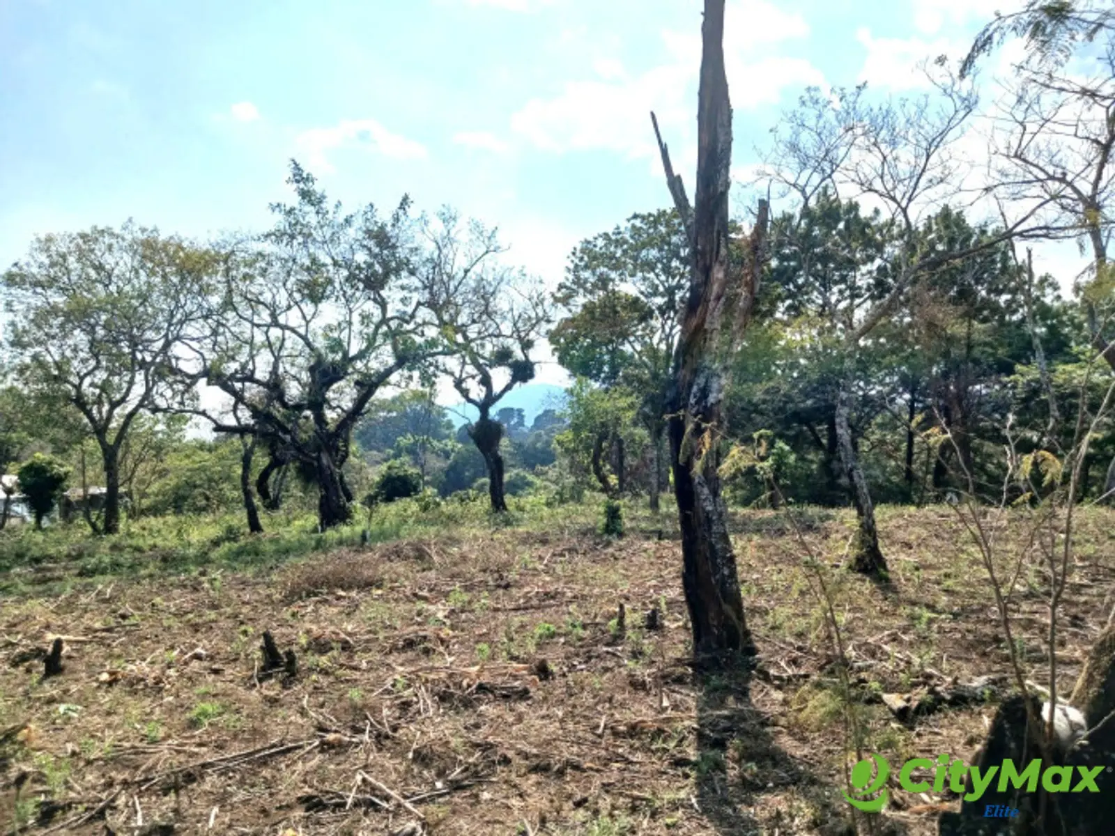 TERRENO EN VENTA EN FRAIJANES - foto 9