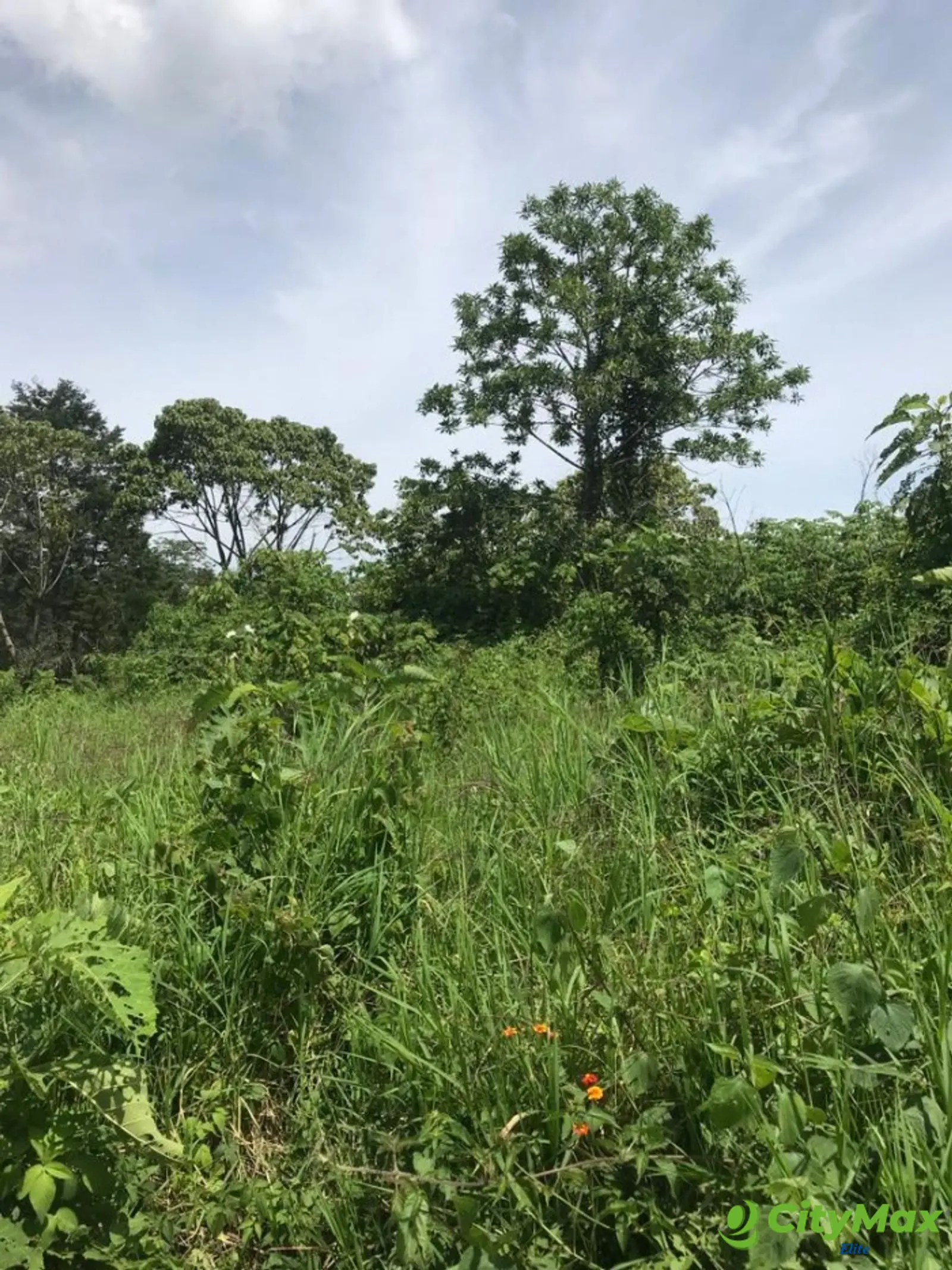 Terreno en Venta en Carretera a Santa Elena Barillas - foto 10