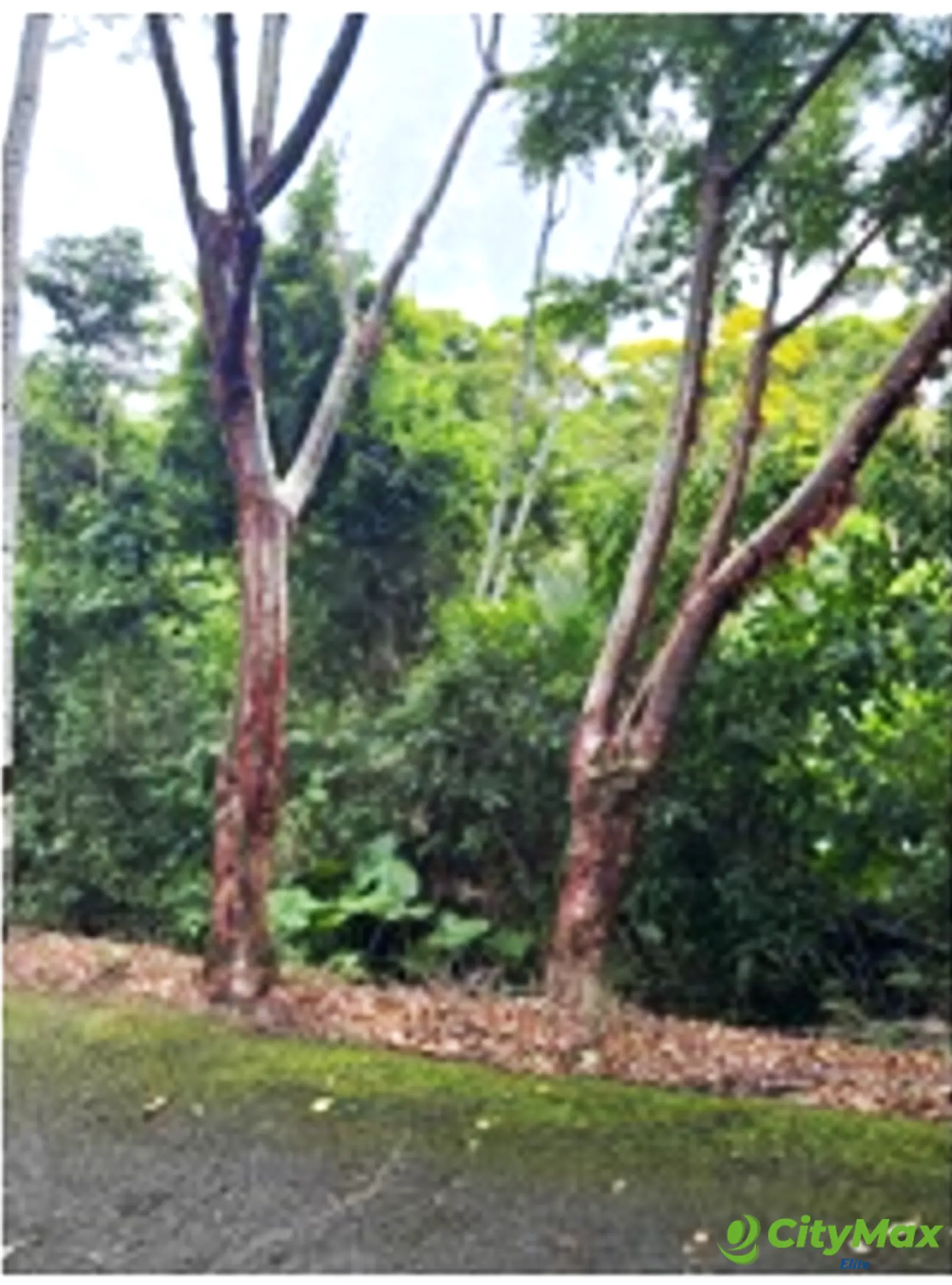 Venta de terreno en izabal - foto 2