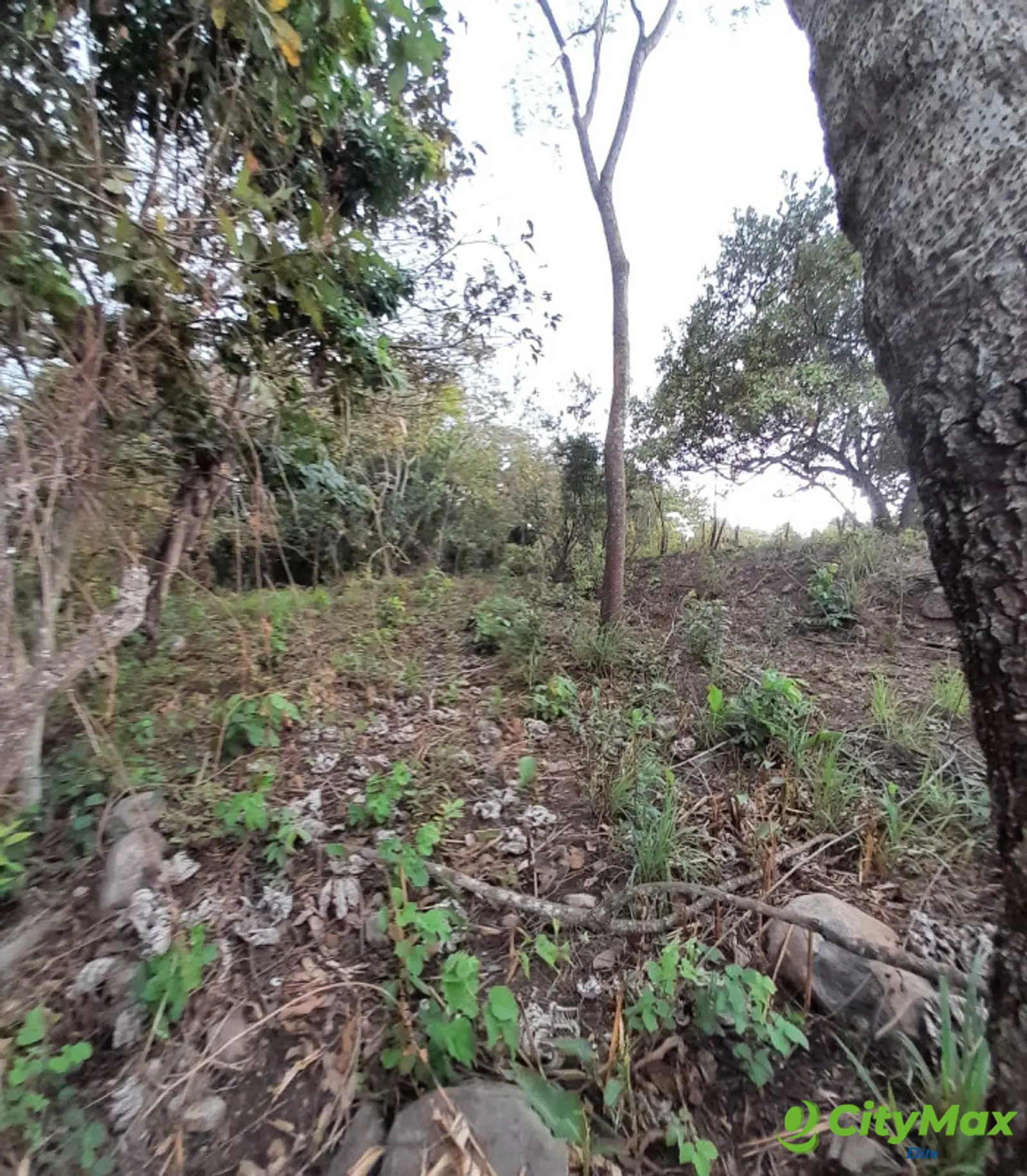 Terreno en Venta en Quintas Vallarta Escuintla - foto 6