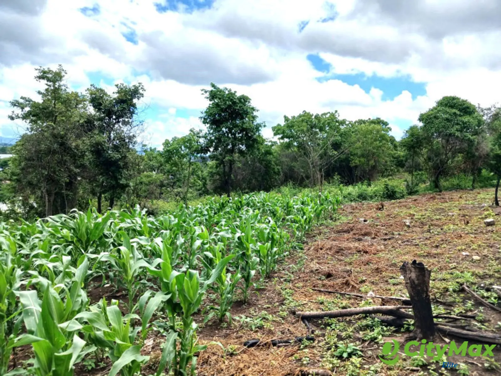 Terreno en Venta cerca de Calzada La Paz, en Zona 17 - foto 7