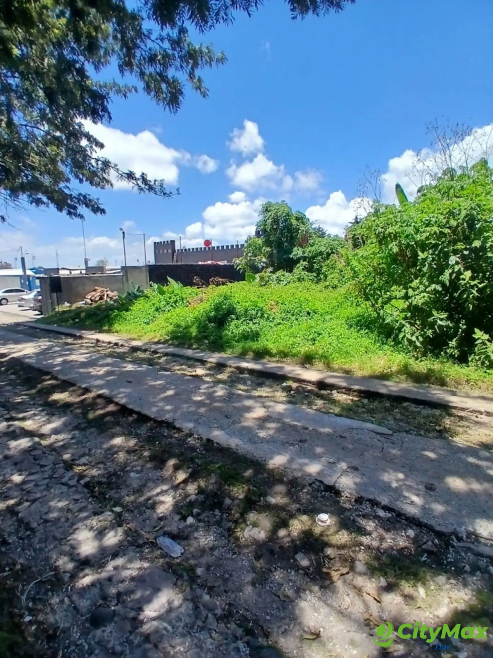 TERRENO EN ALQUILER EN CAES KM 19.5 - foto 3