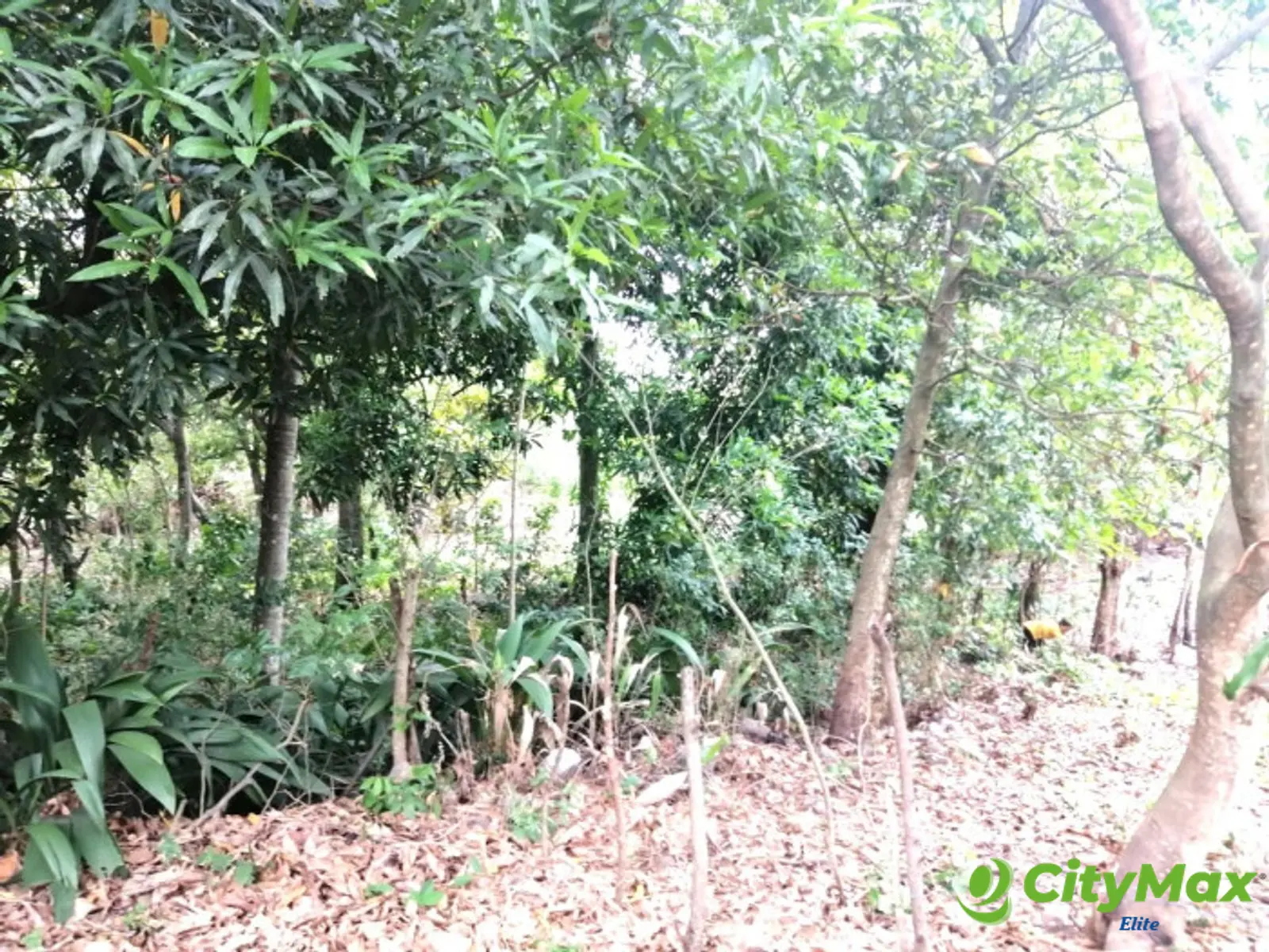 Terreno en Venta en Quintas Vallarta Escuintla - foto 11