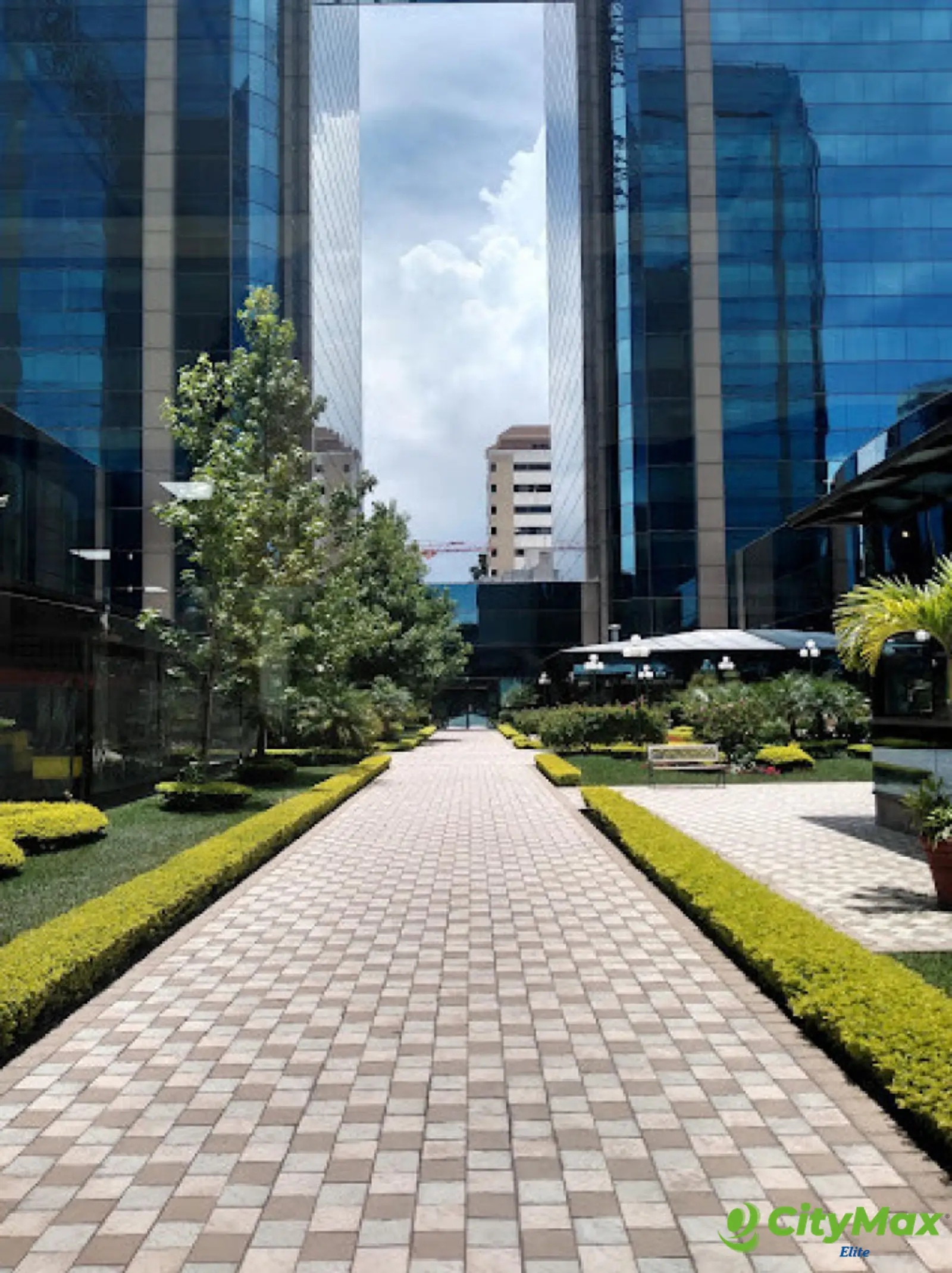 Oficinas en renta EUROPLAZA zona 14 - foto 3